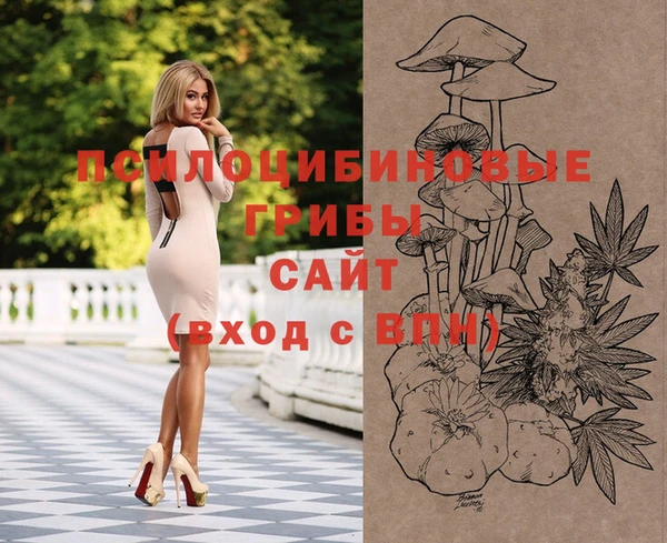 дмт Белоозёрский
