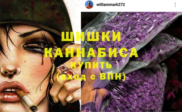 дмт Белокуриха