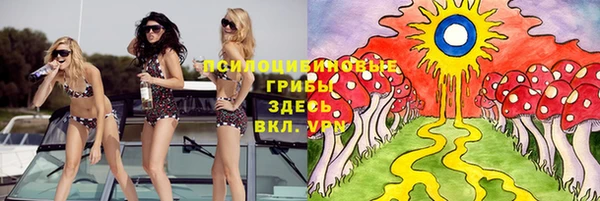 дмт Белокуриха