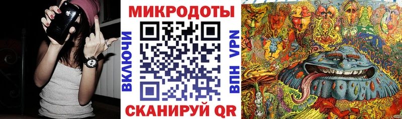 Псилоцибиновые грибы Psilocybe  Светогорск 