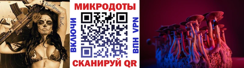Псилоцибиновые грибы прущие грибы Светогорск